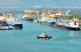Visakhapatnam port handles 18.5-mt cargo till July-end