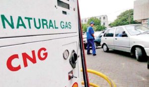 CNG penetration in the domestic CV sector has witnessed a decline: ICRA