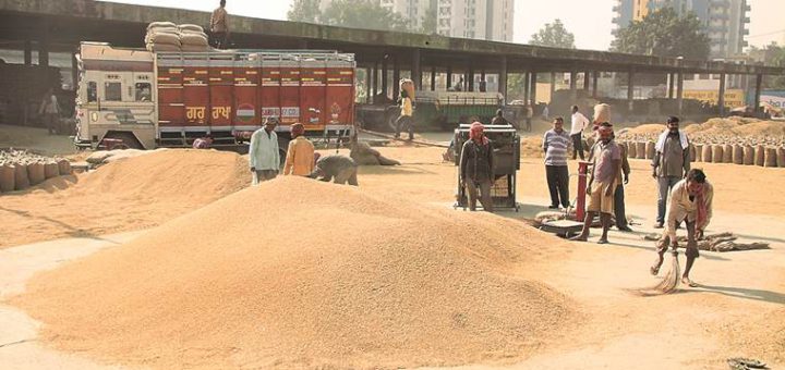 Punjab govt now wants tractor trailers to ferry paddy harvest