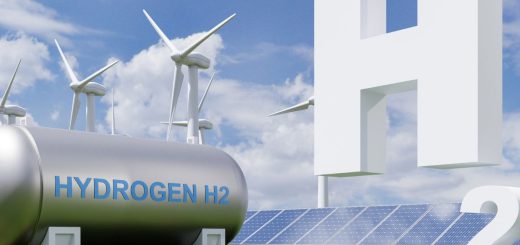 Union minister R K Singh says if required, more funds can be given for transport sector under green hydrogen mission