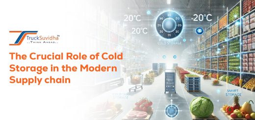 Role of Cold Storage in the Modern Supply Chain